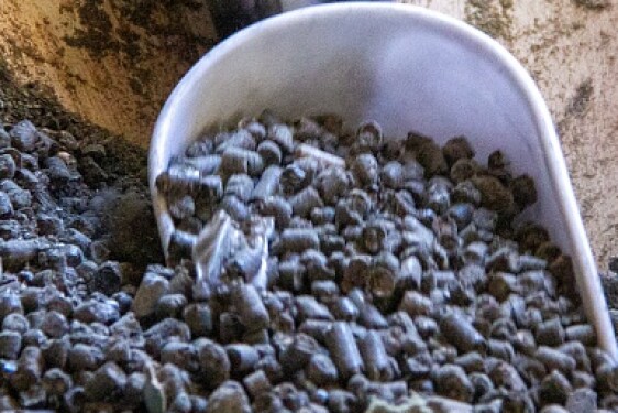 Prodial granulation